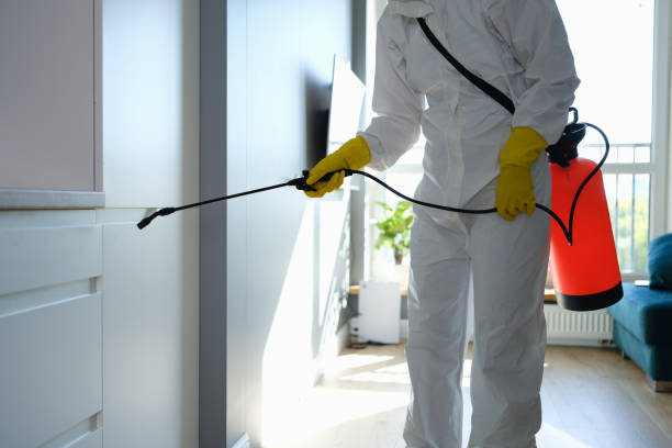 Trusted San Diego, TX Mold Remediation Experts